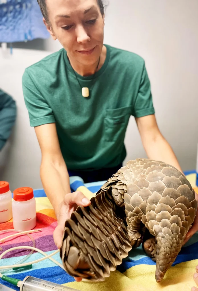 About Dr. Karen Becker Veterinarian and pet health expert.